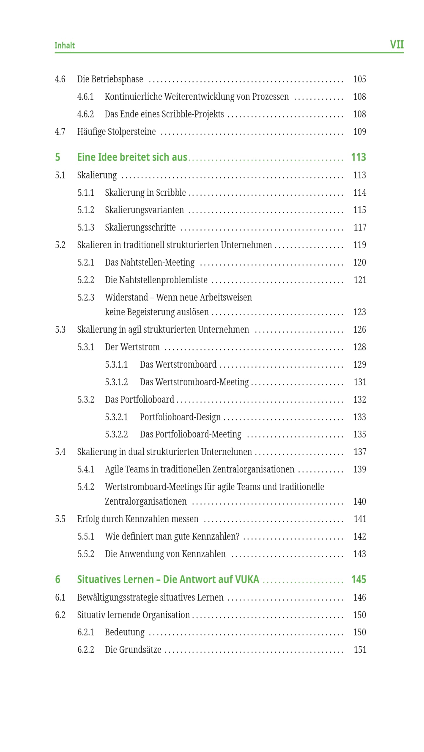 Das Handbuch für agiles Prozessmanagement: Mit Scribble Prozesse und Organisationen zukunftsfähig gestalten