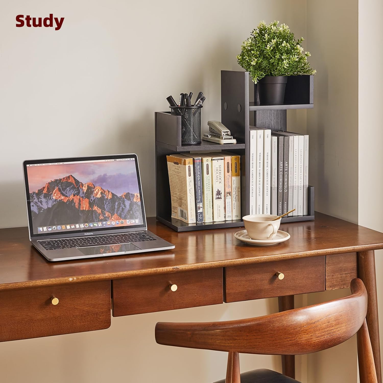 Aibiju Book Organizer for Desk, Cute Desk Top Organizing, Tree Bookshelf Unique Nursery Bookcase, Book Ends for Desk, Book Holder for Shelf Black YD-DSR002B