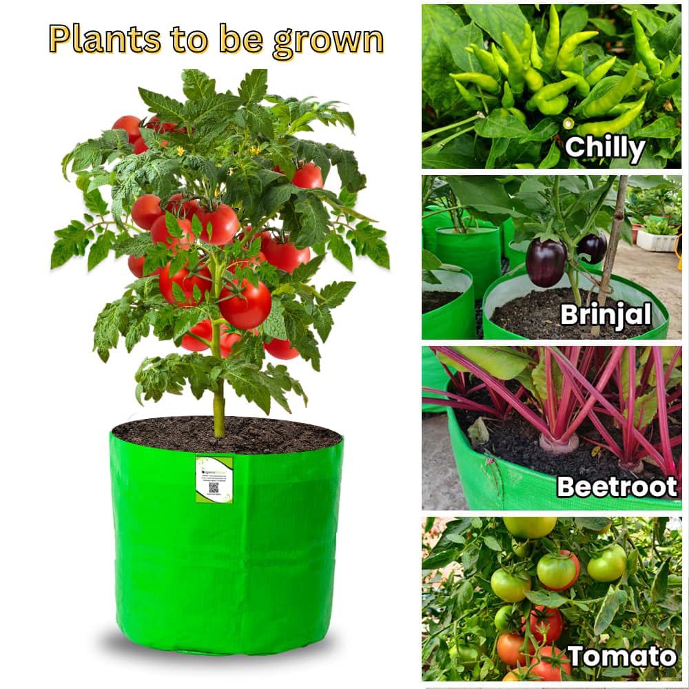 ORGANIC BAZAR 15x15 Grow Bag for Terrace Garden, Premium HDPE 260 GSM Green Plant Bags (Pack of 5) 2