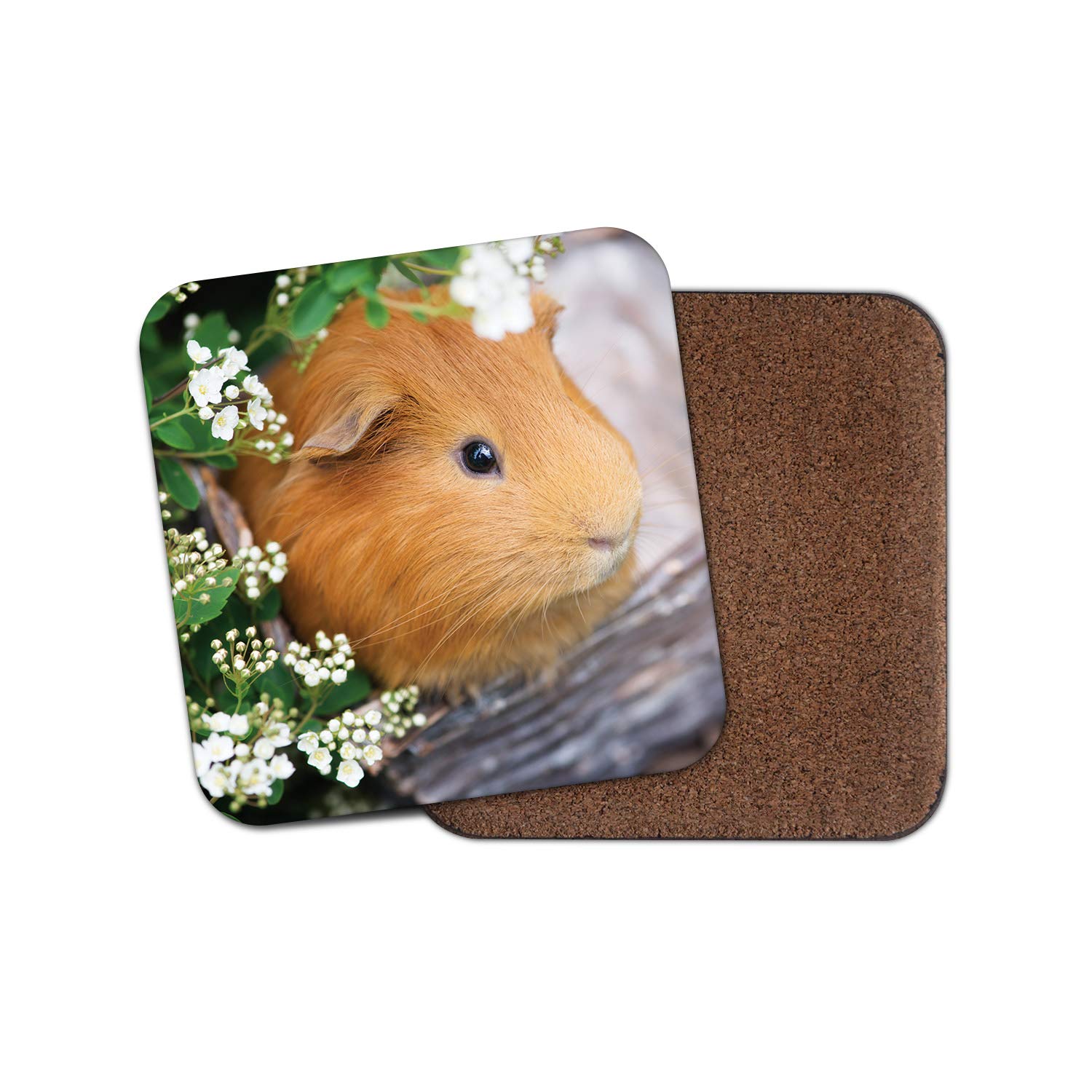 Destinationvinyl Multicolor 1 X Ginger Guinea Pig Coaster - Cute Pet Mice Rat Garden Flowers Pretty #15240