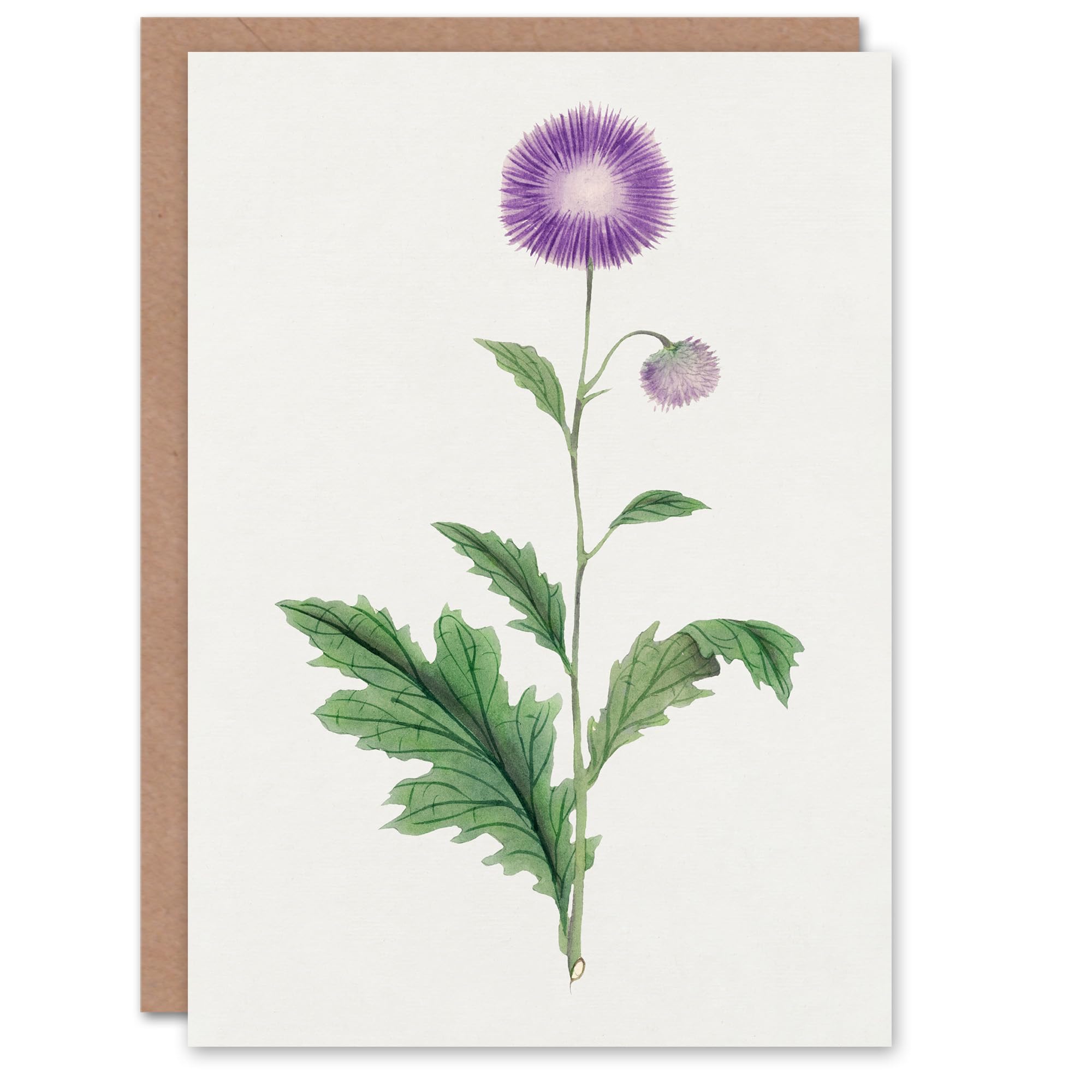 Artery8 Vintage Japanese Botanical Art Card Thistle Flower