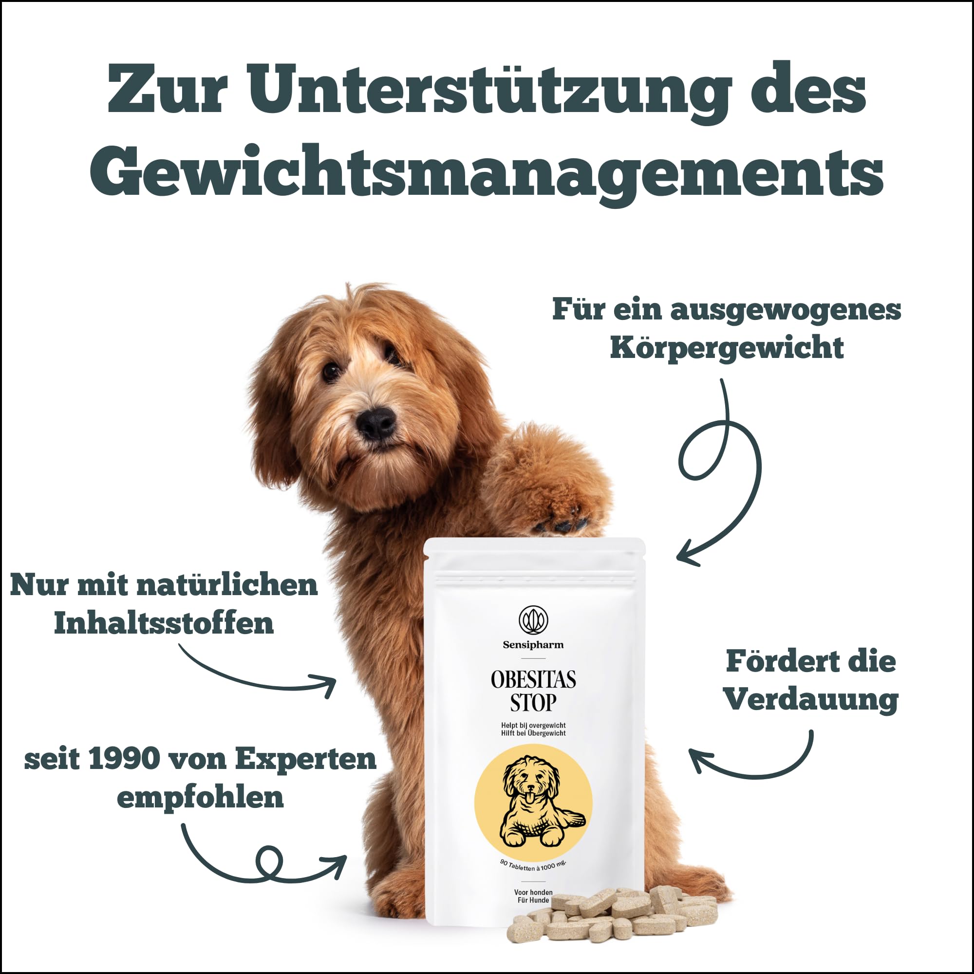 Obesitas Stop Dog - Suplement diety dla osób z nadwagą i odchudzaniem - 90 tabletek po 1000 mg