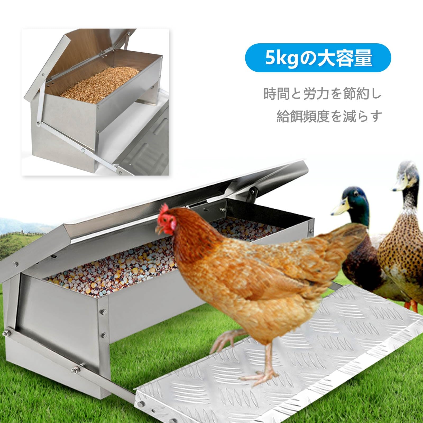 Comedero Gallinas Antipajaros Comederos AutomáTicos de Pollos Acero Inoxidable Comedero con Pedal AutomáTico Comida para Pollos para Aves de Corral Adecuado para Pollos Patos Y Gansos