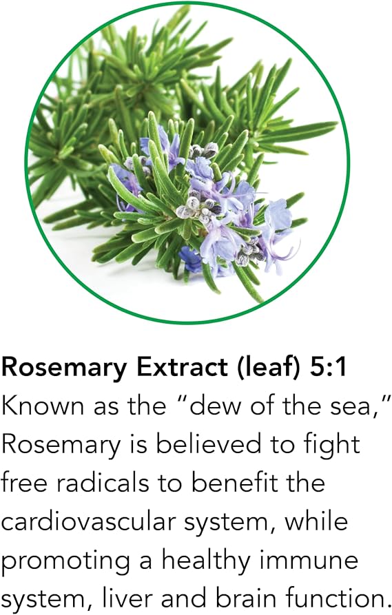 Botanic Choice Rosemary Leaf Liquid Extract Alcohol Free, Gluten Free Fast Acting Supplement Drops Easy to Use Dropper 1 Fluid Ounce