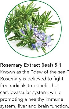 Botanic Choice Rosemary Leaf Liquid Extract Alcohol Free, Gluten Free Fast Acting Supplement Drops Easy to Use Dropper 1 Fluid Ounce