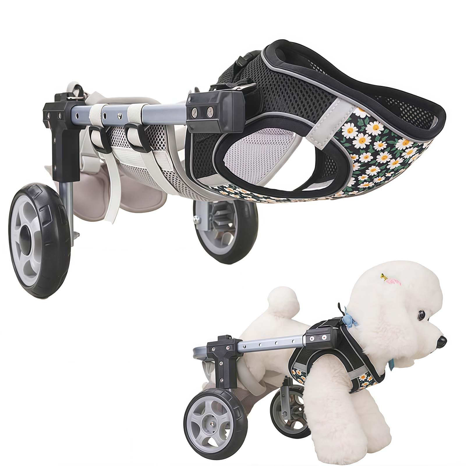 Chien handicapé ? Solution de marche avec cette remorque vélo ajustable
