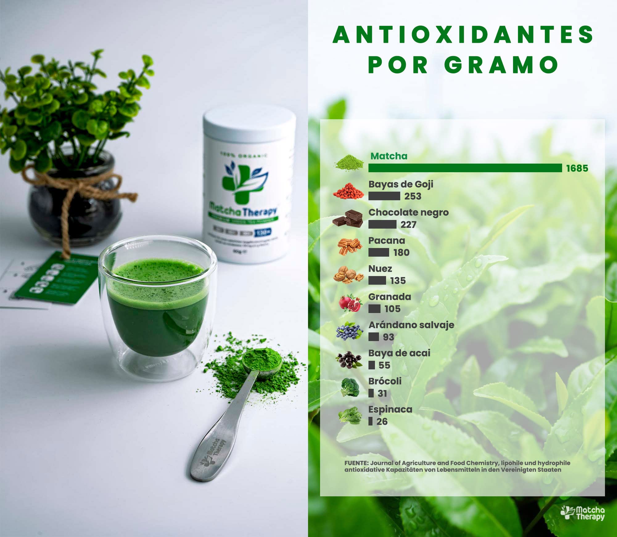 MatchaTherapy 130+ | Té Matcha 100% Ecológico | 60g | Al menos 130 mg/g de contenido de catequina probado EGCG | Apoya el sistema inmune & Nivel de Energia | Grado Premium | Té verde de Japón
