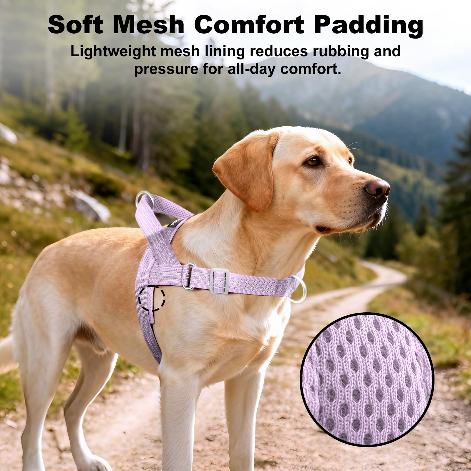 APakBak No Pull Dog Harness with Handle, Adjustable Soft Mesh Padded Reflective Walking Harness with Front Clip for Small Medium Large Dogs – Quick Fit No Escape for Training and Hiking (Purple, L) - image 4