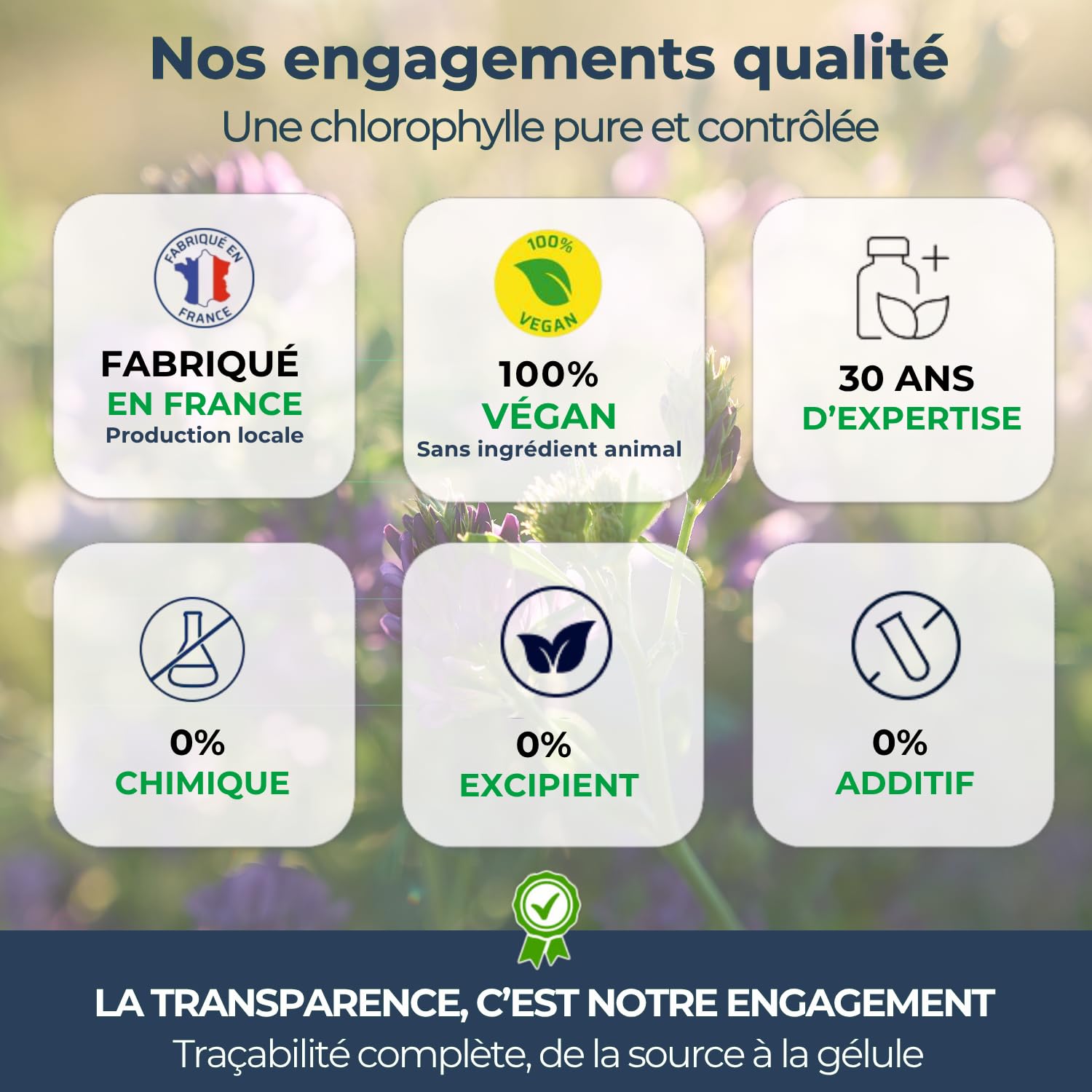 Biophénix - Chlorophylle Magnésienne 60 Gélules - Detox - Protection des Fonctions Digestives, Hépatiques et Rénales - 100% Naturel à Base de Végétaux - Fabriqué en France - 2 Gélules/Jour