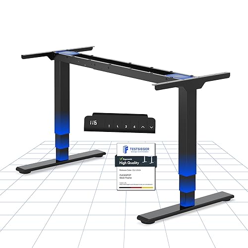 FLEXISPOT EC5 Lite Bureau Assis Debout Électrique à 2 Moteurs,Piétement