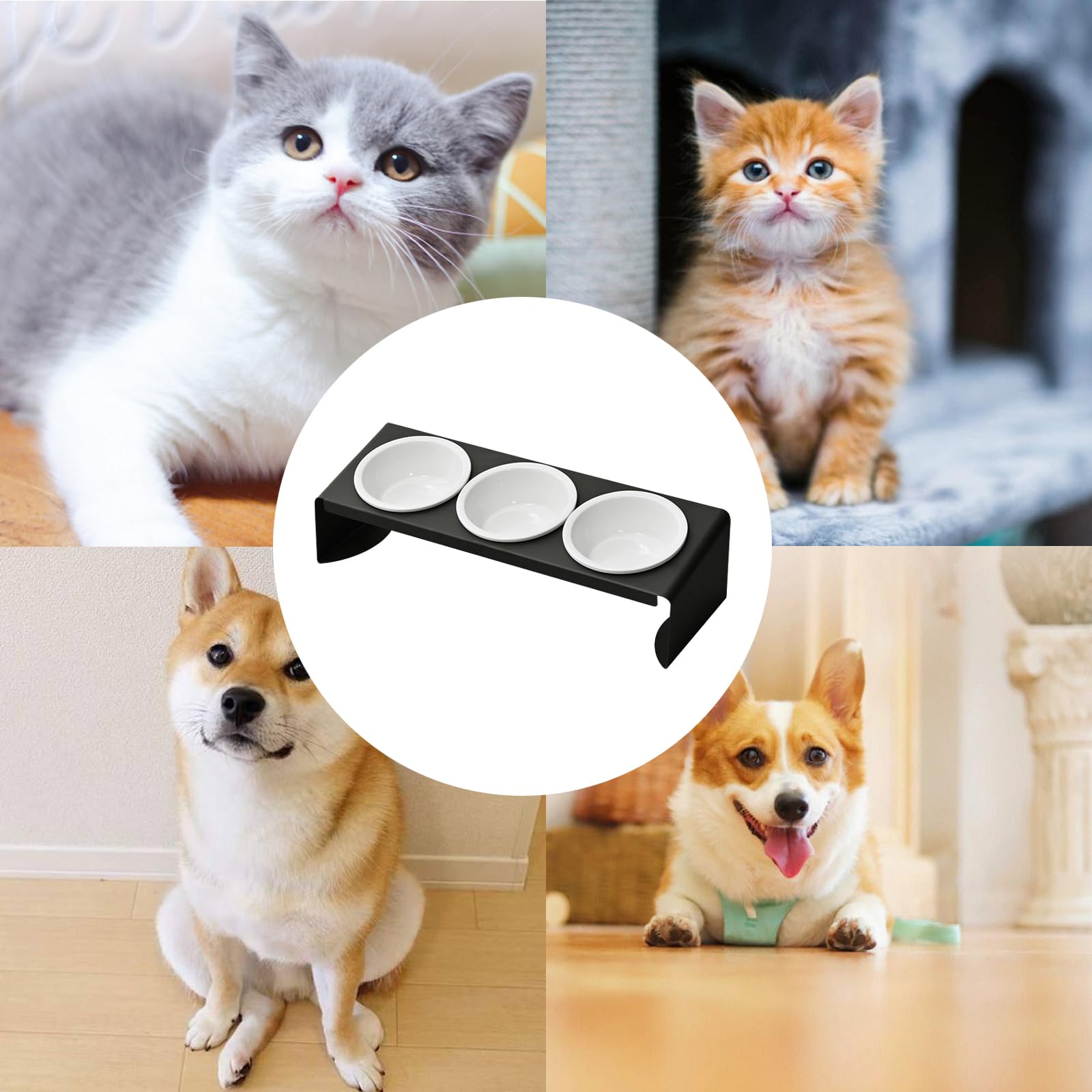 Ciotola per gatti 3 in 1, in ceramica, con supporto in metallo, inclinata a 15°, ciotola per animali domestici, ciotola per cani