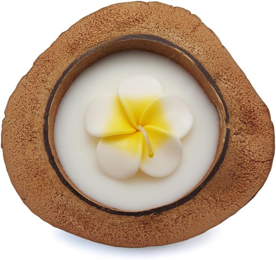 Vanda Siam Frangipani Flower Candle in Half Coconut Shell Frangipani White-Yellow