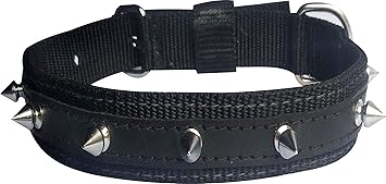 S.Blaze Single Nylon Spike Multi Color Medium Dog Show Collar Dog Pinch Collar (Medium, Multi Collar)