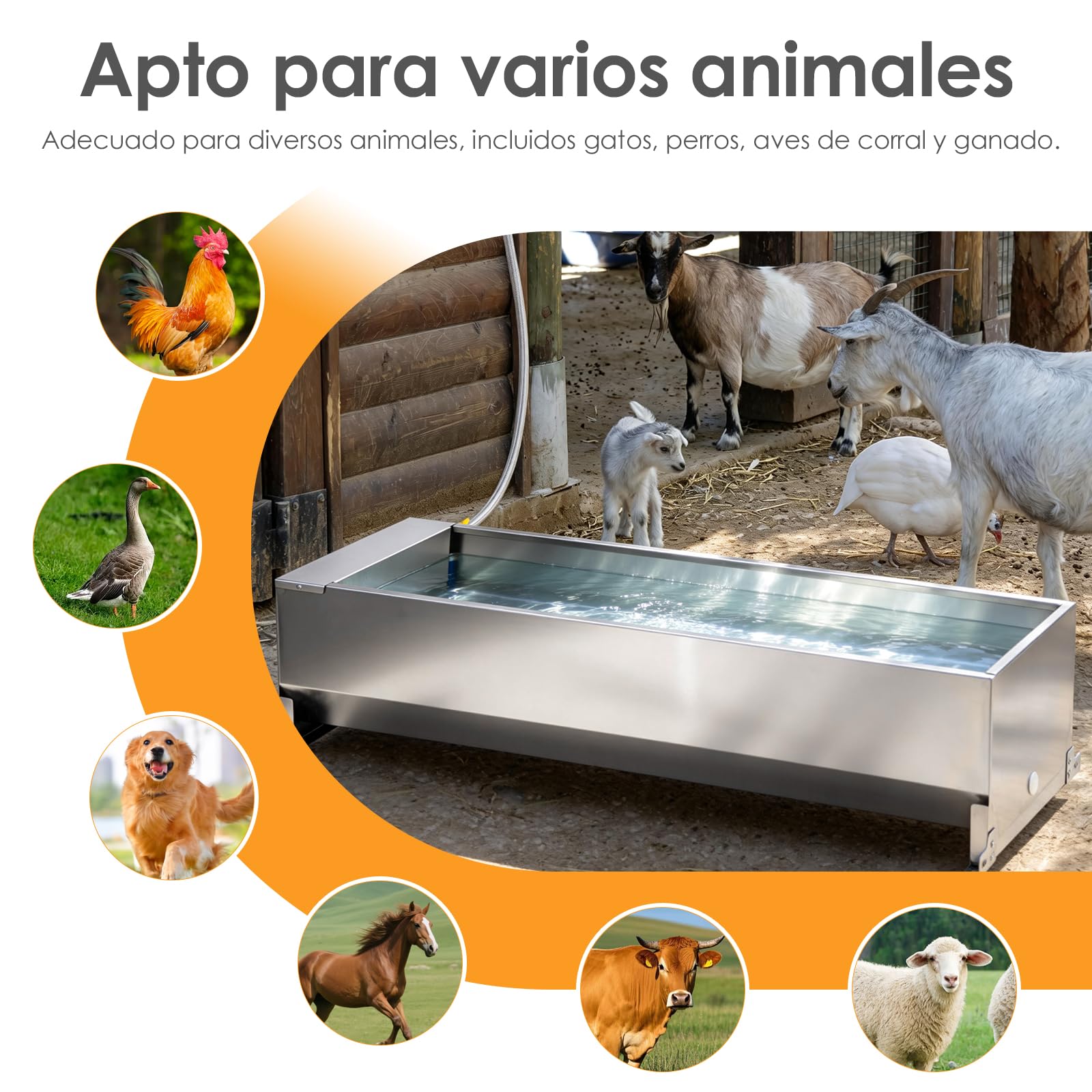 50 litros Bebedero con Válvula Flotante 1/2 Pulgada, Bebedero Automático con Kit de Conexión, Bebedero Flotante con Soportes, Bebedero para Caballos, Cabras, Ganado, Ovejas, Perros