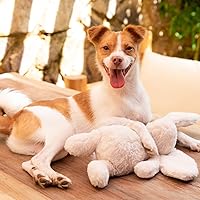 Vista 6 de Best Pet Supplies - Juguete masticable con chirriante interactivo para perros, juguetes ideales para perros que mastican, para perros pequeños