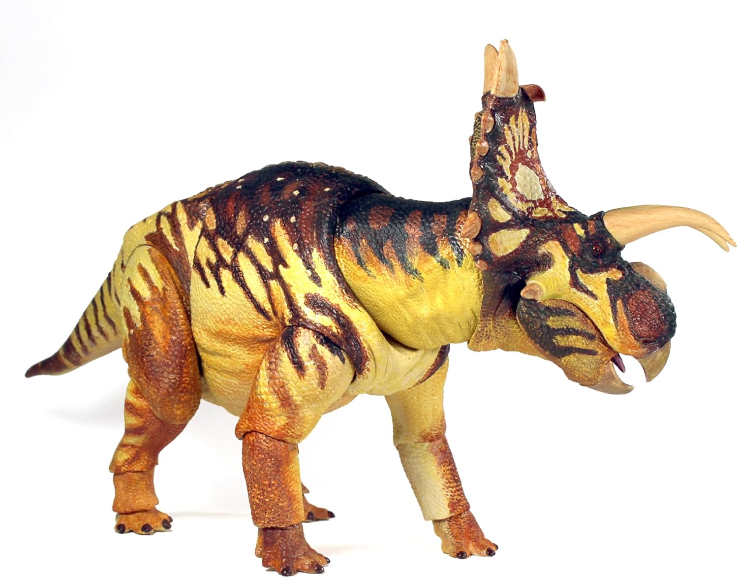 Creative Beast Studios Beasts of The Mesozoic: Ceratopsian Series Xenoceratops 1:18 Scale Action Figure, Multicolor