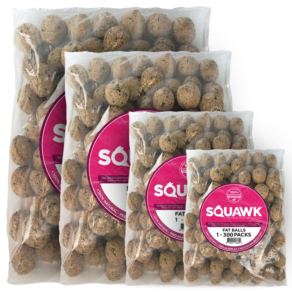 SQUAWK Palline di Grasso di Suet | Cibo Premium per Uccelli Selvatici | Formula Potenziata per Tutto l'Anno | Miscela Naturale, Ricca di Energia e Proteine | Piena di Grassi Nutrienti (Confezione 300)