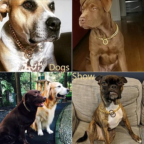 Miniatura 3 de Gargantilla ajustable de oro de 18 quilates para perro, de acero sin aguja de 0.591in, collar de cachorro grande, cadena de estrangulación, collar