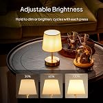 EppieBasic Rechargeable Table Lamp Cordless: Fast Charging & Long Lasting - 2700K Warm Light Vintage Small Gold Lamps for Women Housewife - Living Room Bedroom