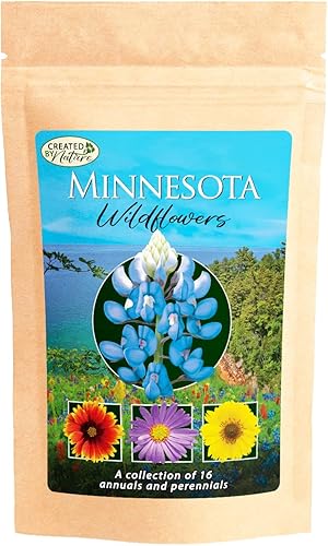 Created By Nature Mezcla de semillas de flores silvestres de Minnesota, cubre 325 pies cuadrados, 16 variedades de flores, más de 40,000 semillas