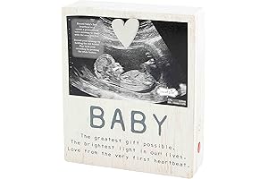 Mud Pie Ultrasound Recorder Frame