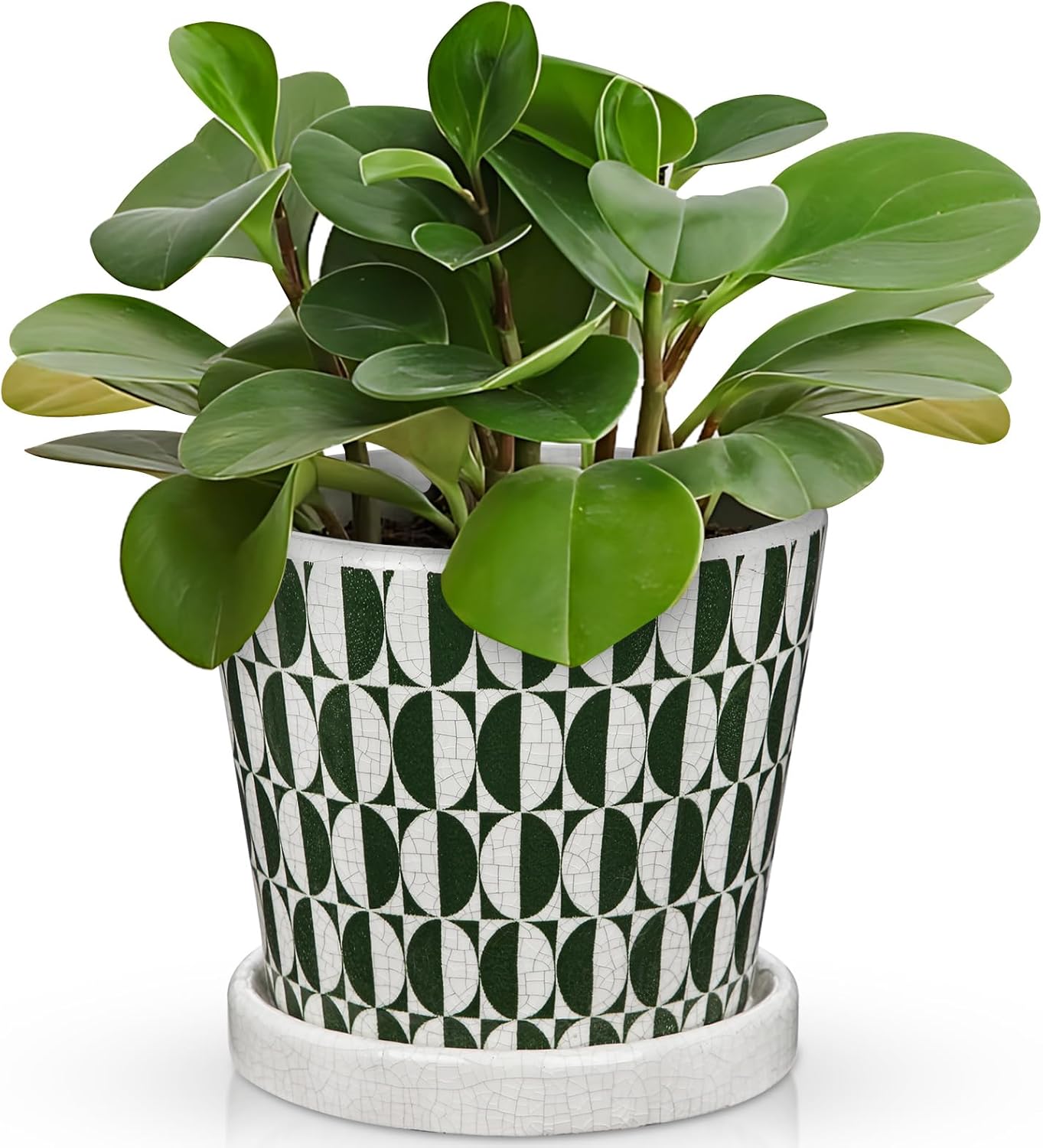 5.5 Inch Ceramic Plant Pot, Ice Crack Plant Pots with Drainage Hole and Saucer, Vintage Flowers Pot for Plants Indoor Outdoor Home Patio Office Decor (Green)