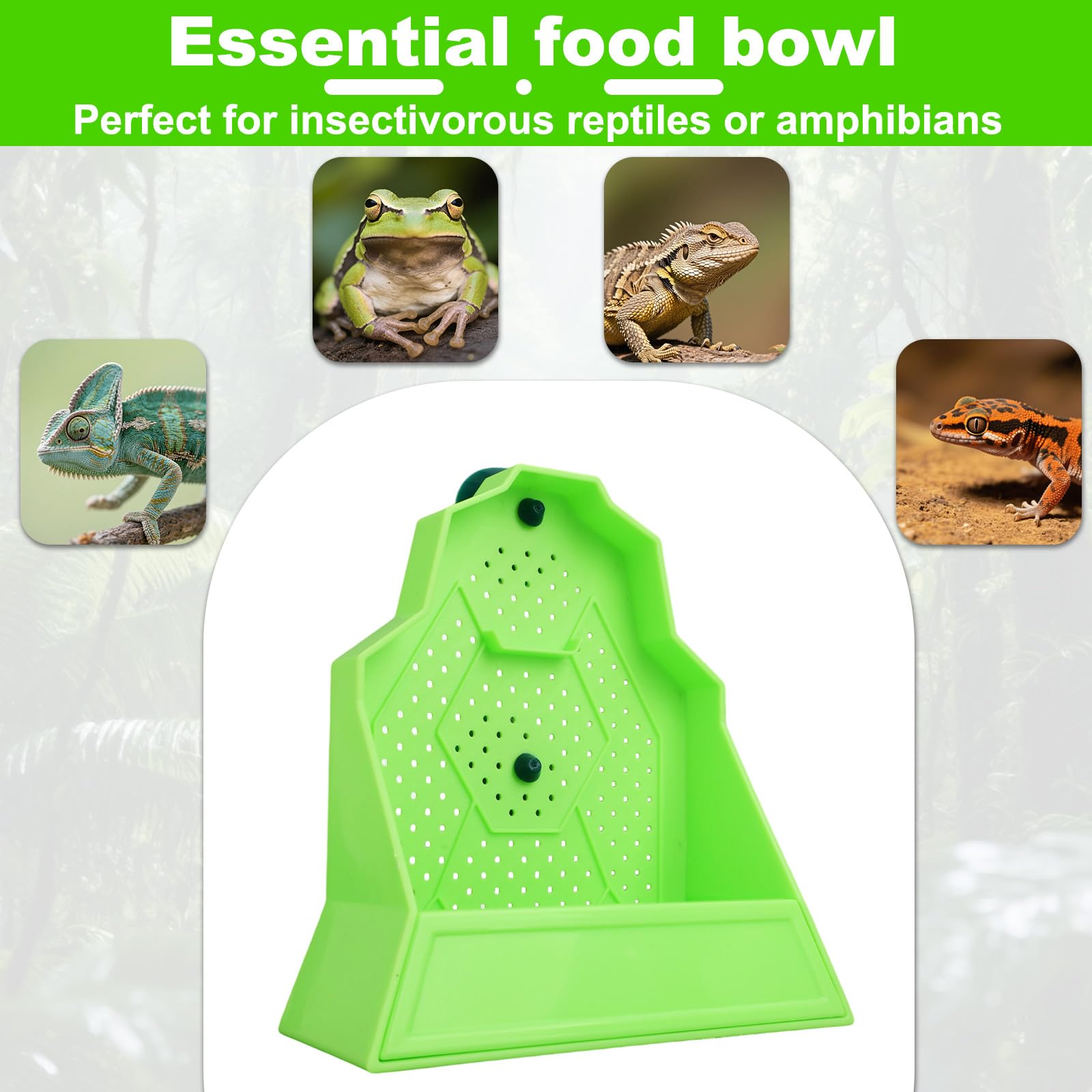 Large Capacity Bearded Dragon Feeder - Image 3