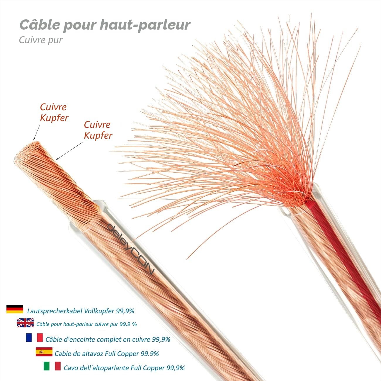 deleyCON 10m Câble Haut-Parleurs 2x 2,5 mm² - Pur Cuivre OFC - Audio pour Enceintes HiFi & Surround - Repérage des Polarités - Transparent