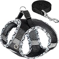 TomteNisse No Pull Dog Harness & Leash Set for Small Dogs, Puppies & Cats - Breathable Step-in Vest, Adjustable Reflective Easy Walk