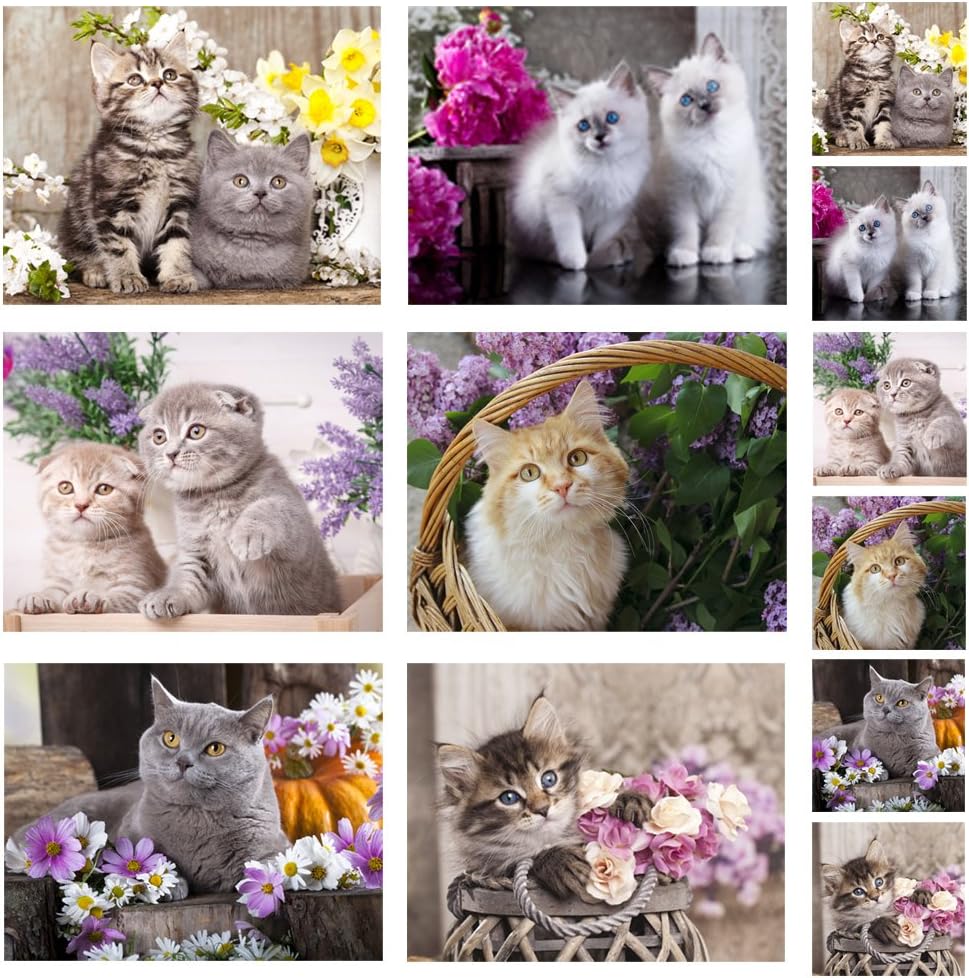 Gwen Street Designs Cork Backed Placemats and Bonus Coasters Cute Kittens Set 6 Extra Large Heat Resistant Dining Table Country Kitchen New