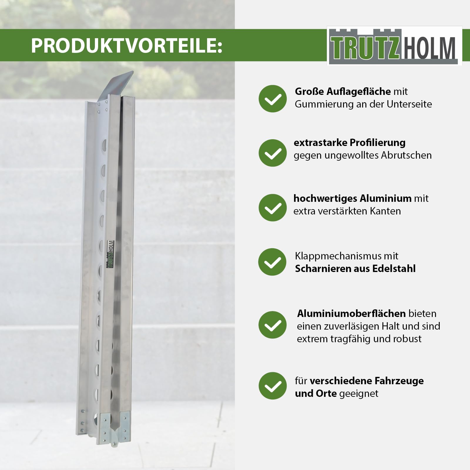 TRUTZHOLM Auffahrschiene klappbar 240 cm Tragkraft 50 kg Alu grau gelocht Fahrradrampe Rampe