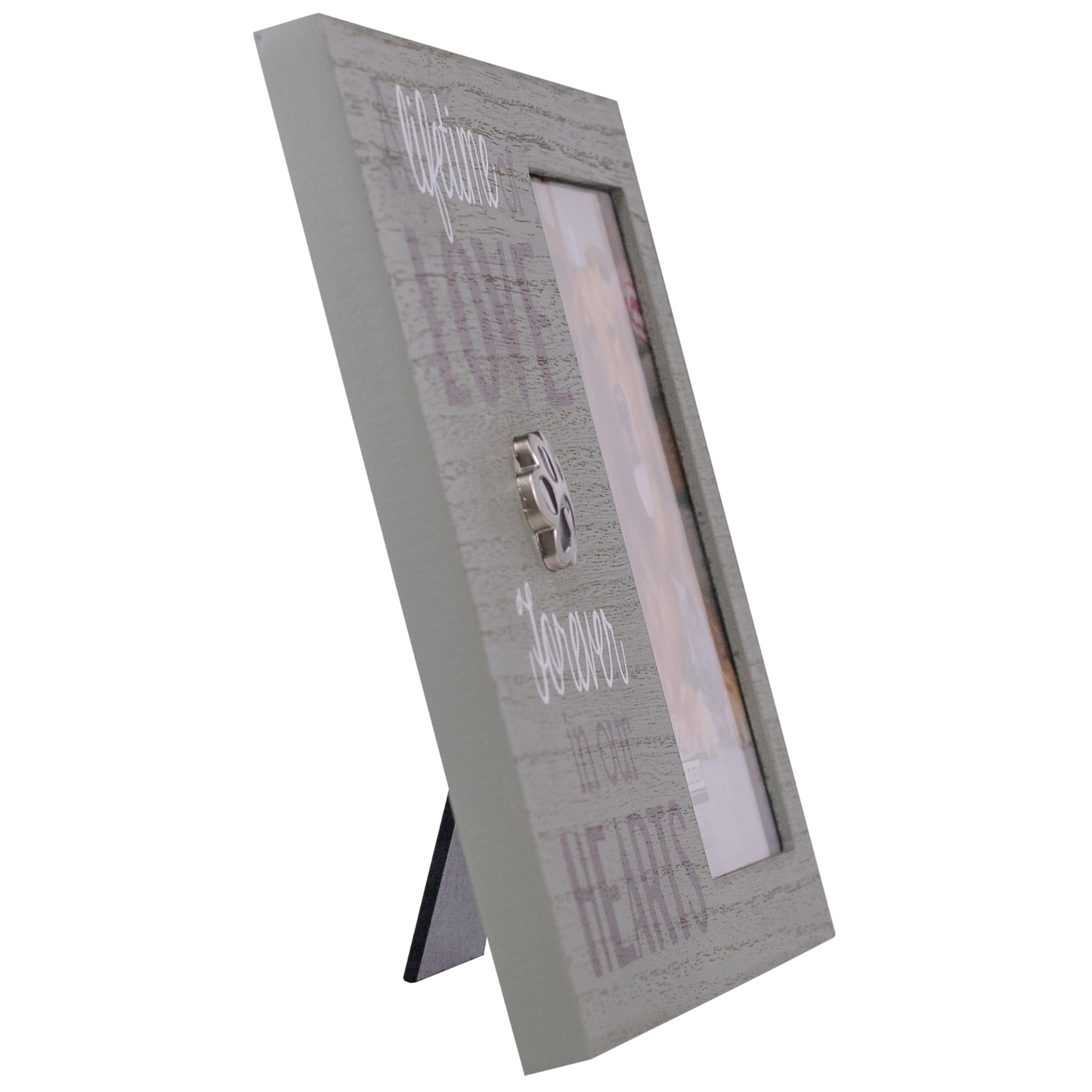 Pet Memorial Picture Frame - A Lifetime of Love -2
