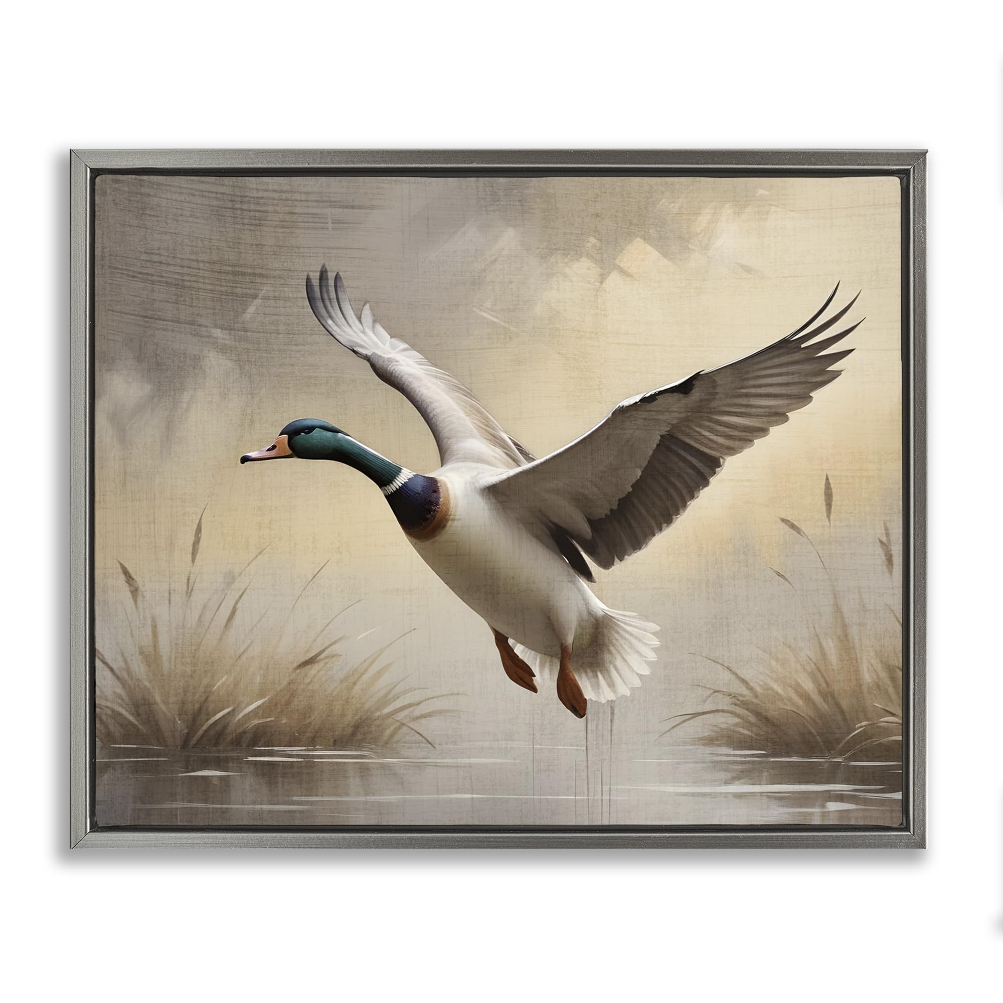 Stupell Industries 'Gliding Mallard over Wetlands', Floating Frame Canvas Art, Gray, 21 x 17 Inches, Easy to Hang and Sturdy, Made in USA, by Susan Arnot