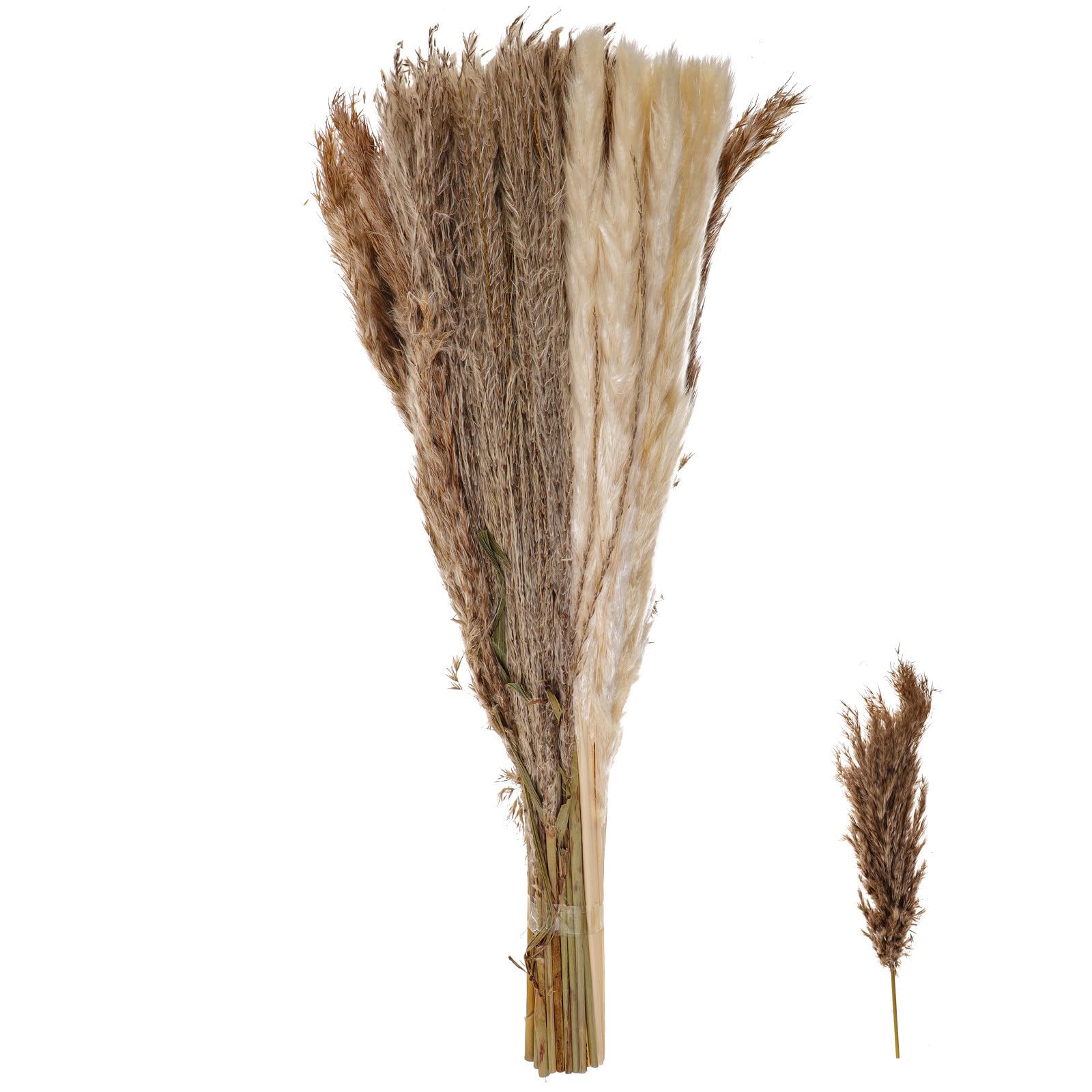 Pampas secas artificiales de alta calidad para arreglos estables de eventos