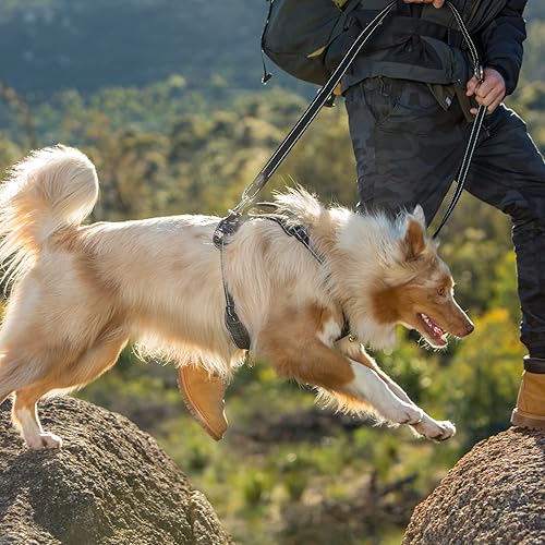 Miniatura 4 de Rogz Correa multiusos, 0.787 in x 5.9 ft, grande, negro