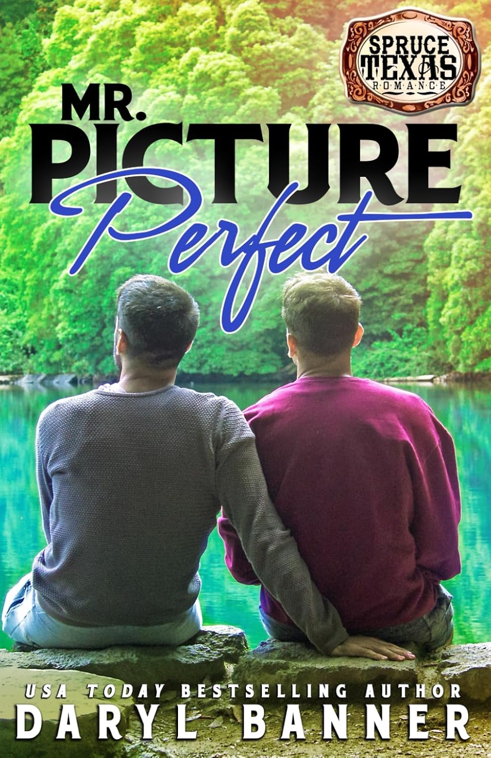 Mr. Picture Perfect: 8 (Spruce Texas Romance)