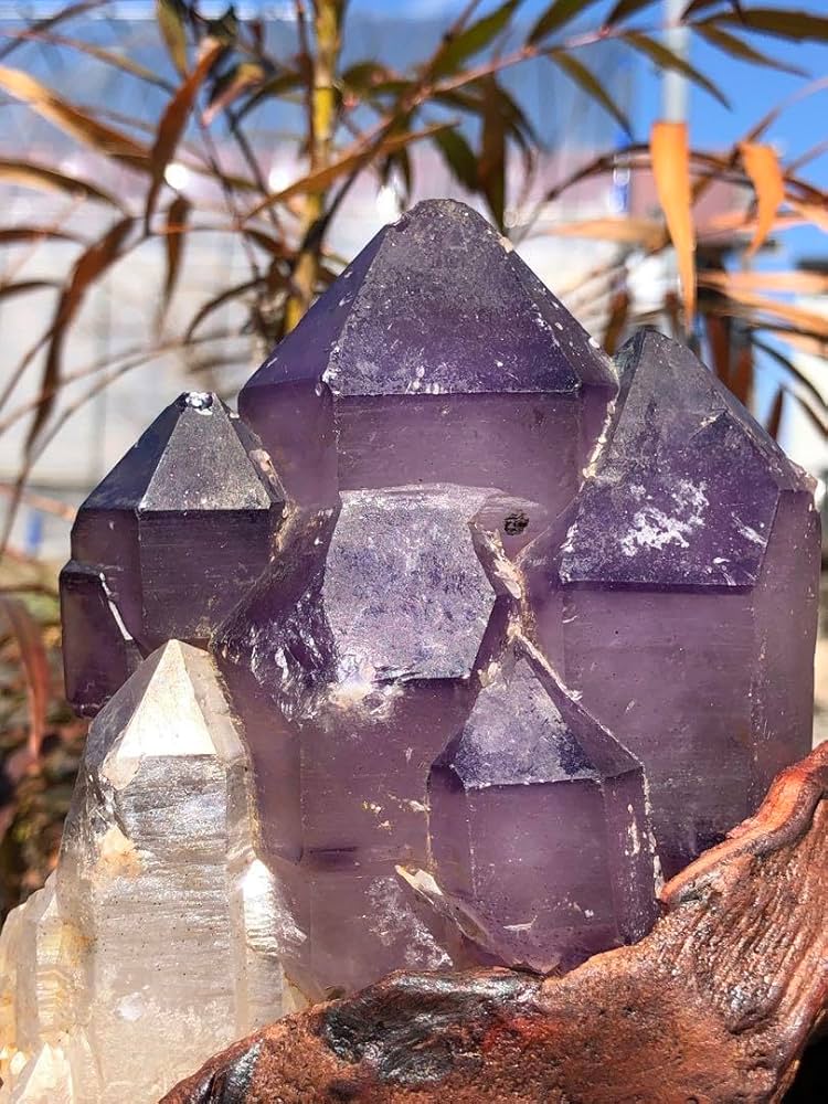 国産水晶　骸晶 長野県大日向産 骸晶水晶 (Skeletal Quartz / Japan) - 鉱物標本販売店