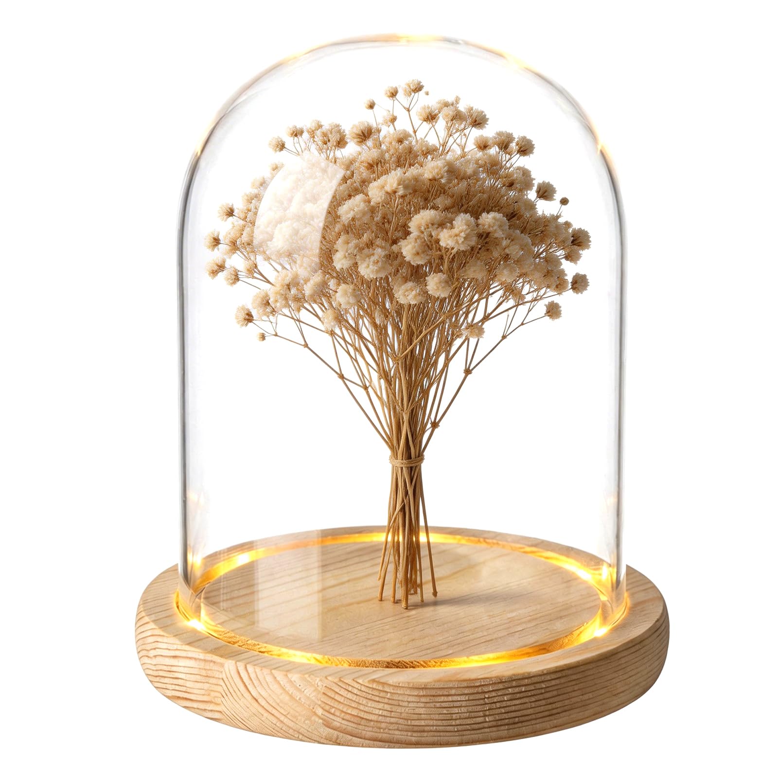 BORDEAG Glasglocke Mit Holzboden, Deko Glasglocke Mit Holzboden, Glaskuppel Mit Natürlichen Holzsockel, Hoch Glaskuppel Dekos, Hoch Glaskuppels Deko 12x16cm, Für Puppen, Kerzen, Sammlerstücke