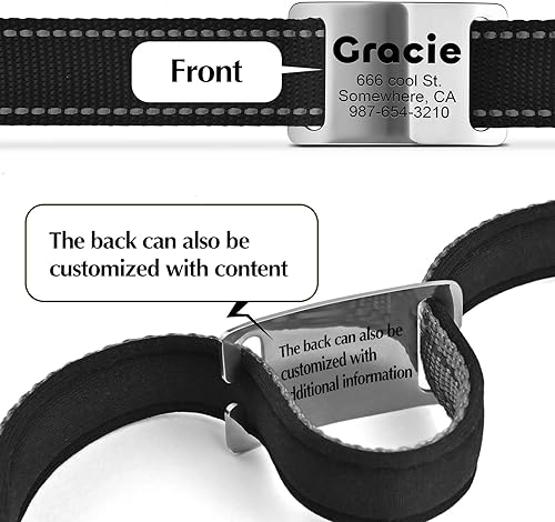 Miniatura 2 de Etiquetas silenciosas grabadas para mascotas personalizadas, etiquetas de identificación de perro y gato personalizadas para el cuello, de acero