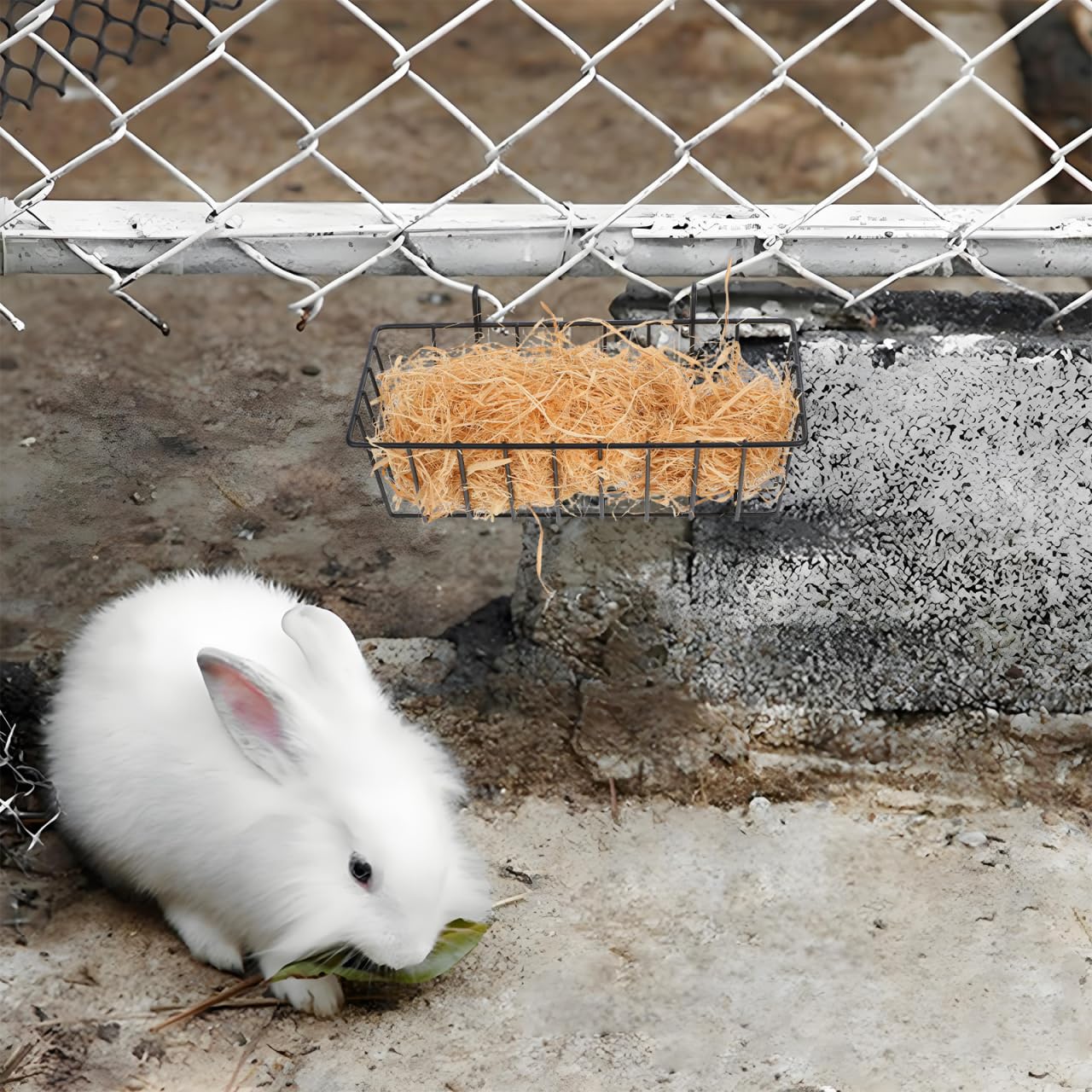 Galpada 2 StüCk Kaninchen Heuraufe HäNgend Metall Futtergestell Mit GroßEr KapazitäT FüR Meerschweinchen Und Kleintiere Bissfester Heu Futterspender FüR KäFig ZubehöR