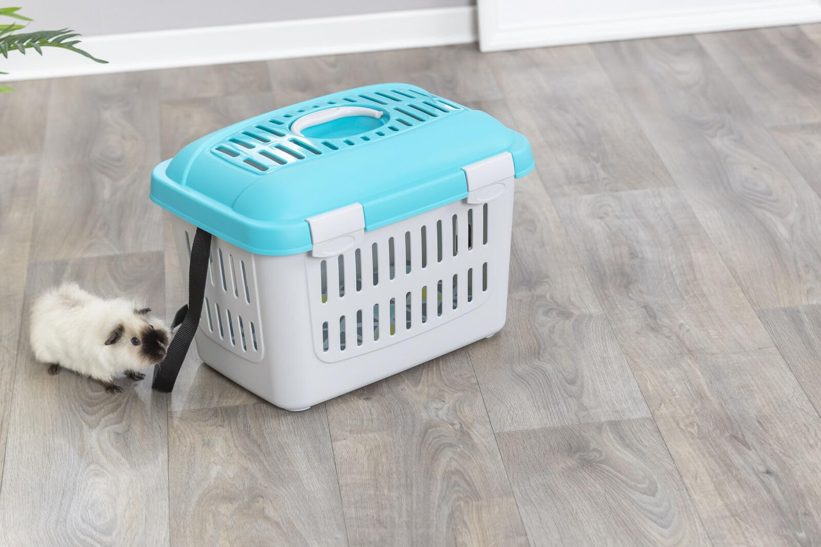 TRIXIE Transportín Midi-Capri para Pequeños Mamíferos