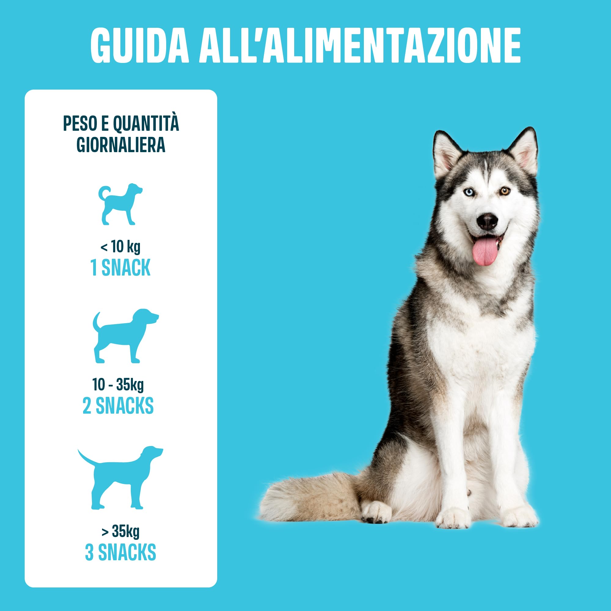 ivvi Pill Pockets per Cani – Snack Morbidi Porta-Pillole con Pollo, Zucca, Radice di Altea e Olmo Rosso – Texture Modellabile per Compresse e Capsule – 270 g / 60 Snack