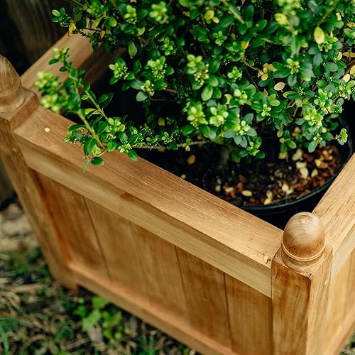 Miniatura 5 de Ash & Ember - Maceta cuadrada de teca de 25 pulgadas, para interiores y exteriores, caja de flores grande en cubos, resistente a la intemperie,