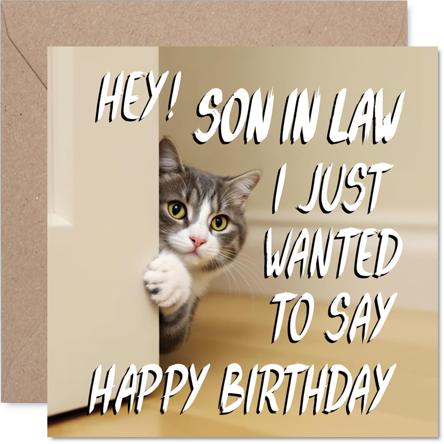 Son in Law Birthday Card - Cute Cat Peekaboo - Happy Birthday Card for Son in Law from Mother Mum Father Dad, 145mm Lovable Kitty Bday Greeting Cards