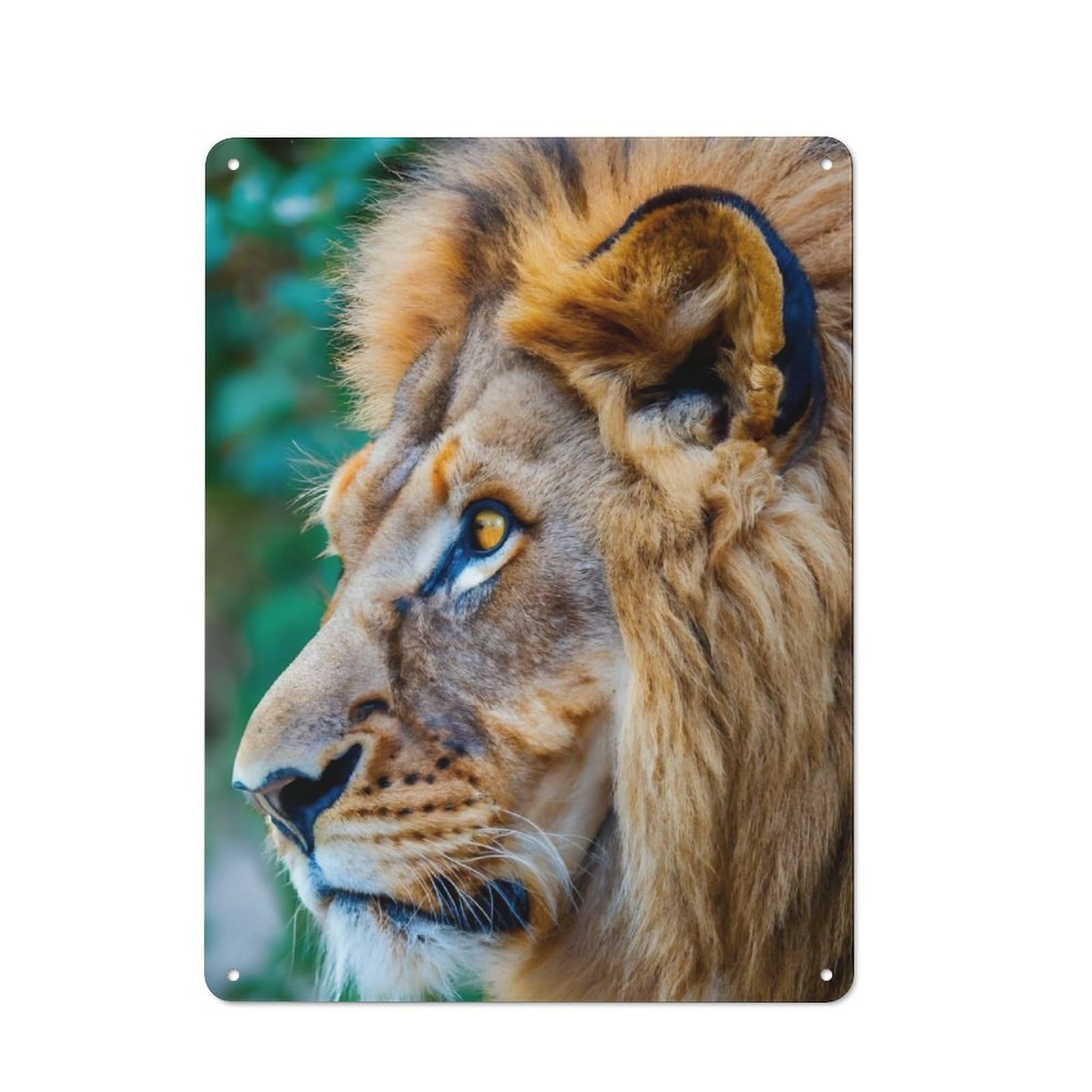 Loft Style Metal Wall Sign 40x30cm Featuring Lion Face, Studio Wall Art for Loft, Studio, Office Or Creative Room