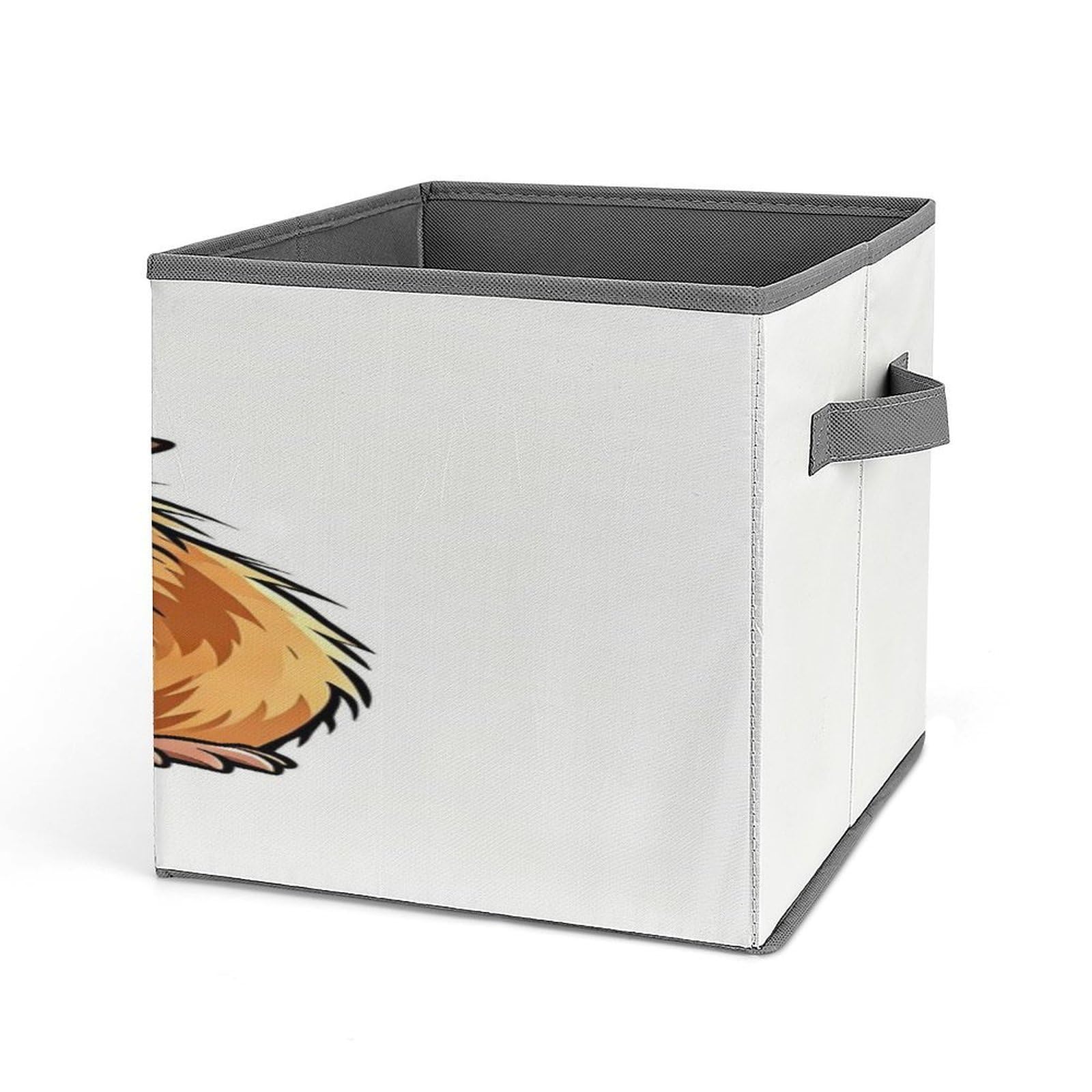 Fekiloot Style Funny Guinea Pig Storage Bins Storage Baskets
