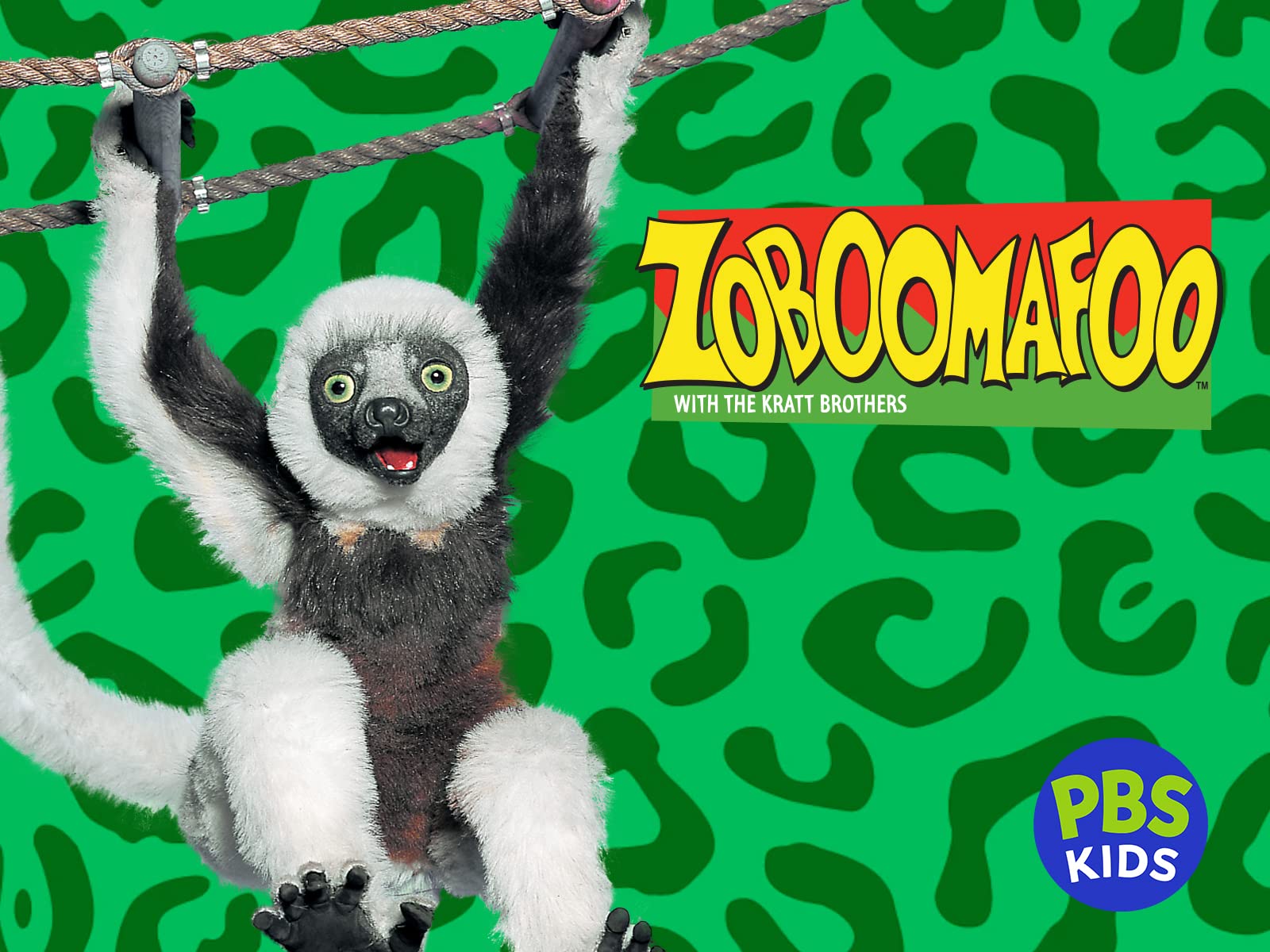 Zoboomafoo (TV Series)