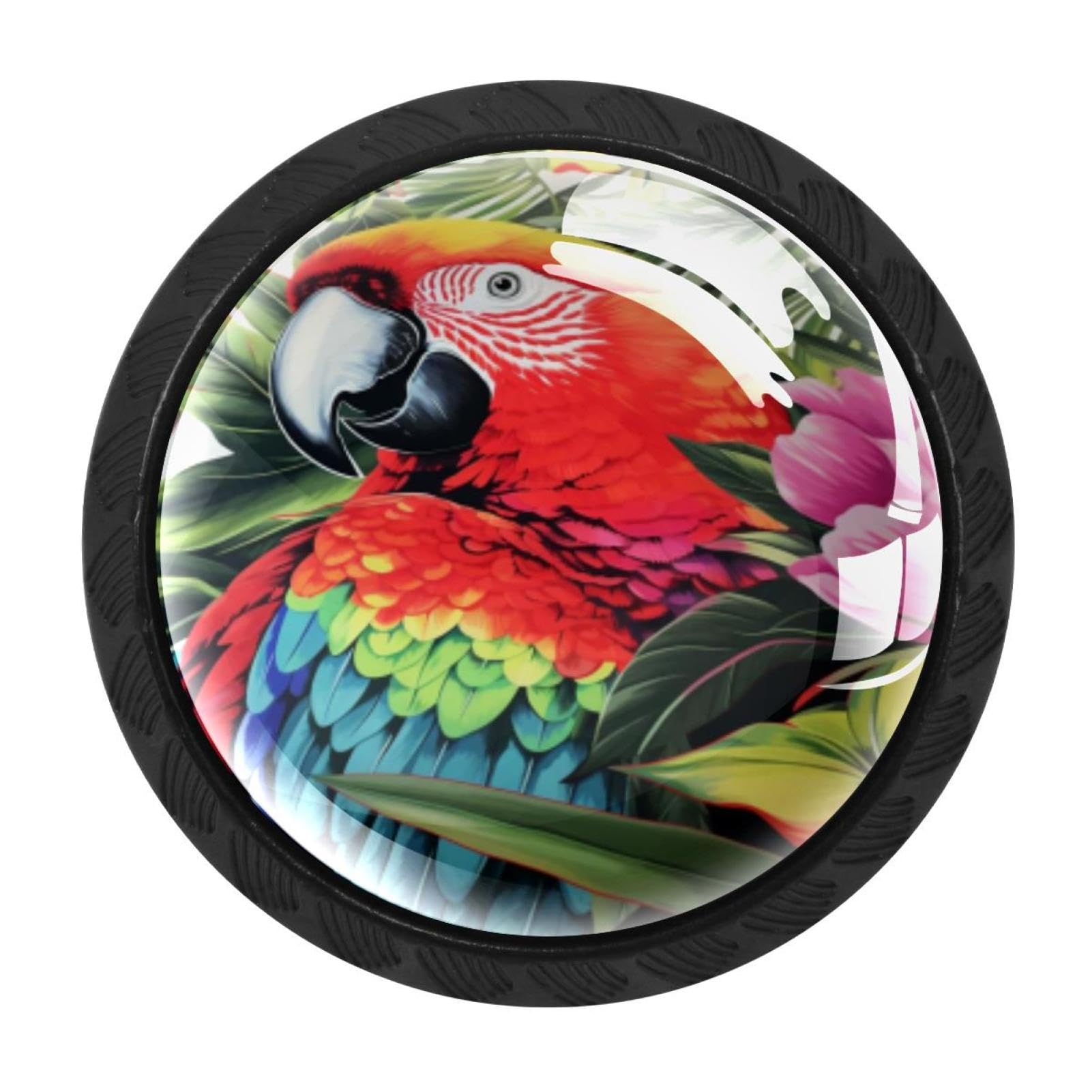 CHENZZZZ 4 Pack Round Cabinet Knobs for Kitchen Bathroom Closet Dresser Cabinets, Parrot