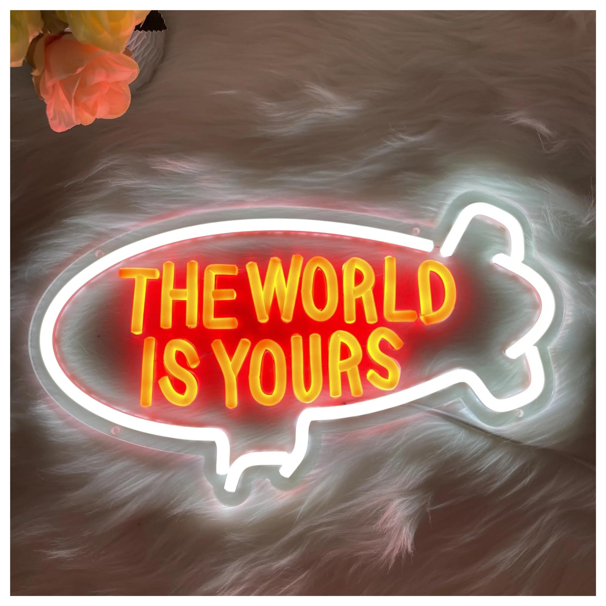 Lemst G Signs Lamp The World Is Yours Neon Sign Light Dimmable For Home Room Bedroom Kids Room Birthday Decor Usb Powered Lamp 45Cmx28cm(G)
