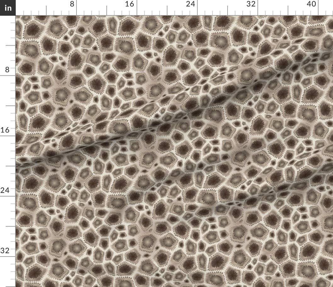 Spoonflower Fabric - Petoskey Stone Brown Beige Coral Printed on Petal Signature Cotton Fabric by The Yard - Sewing Quilting Apparel Crafts Decor